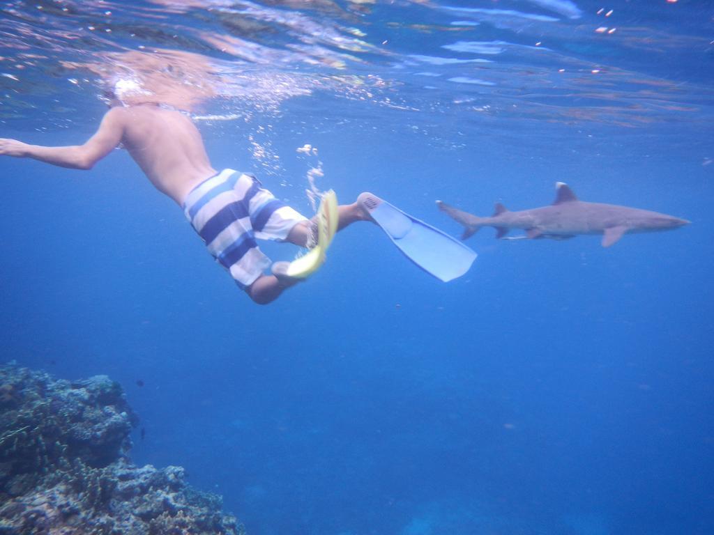 Naqalia Lodge Wayasewa Island Esterno foto